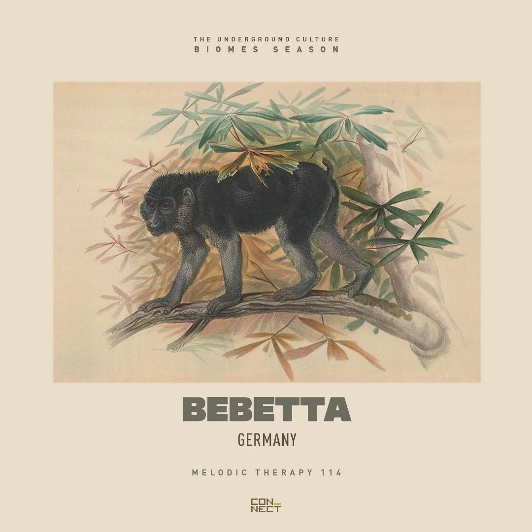 Cover von Bebetta @ Melodic Therapy #114 - Germany