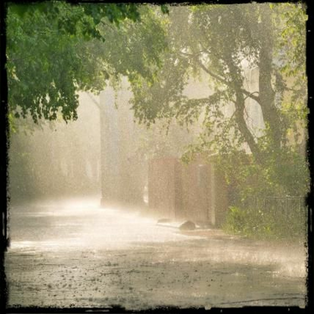 Cover von The warm summr rain