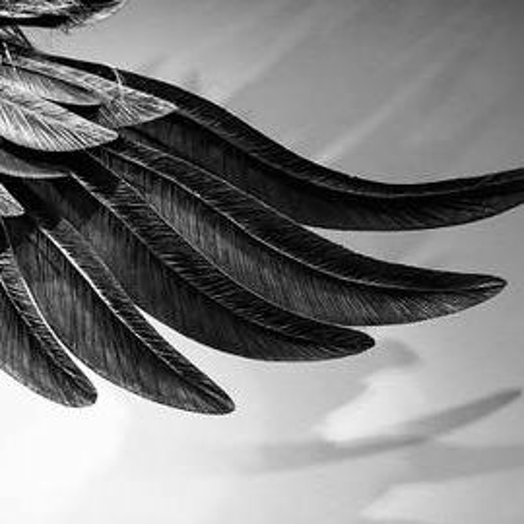 Cover von The Whispering Angel