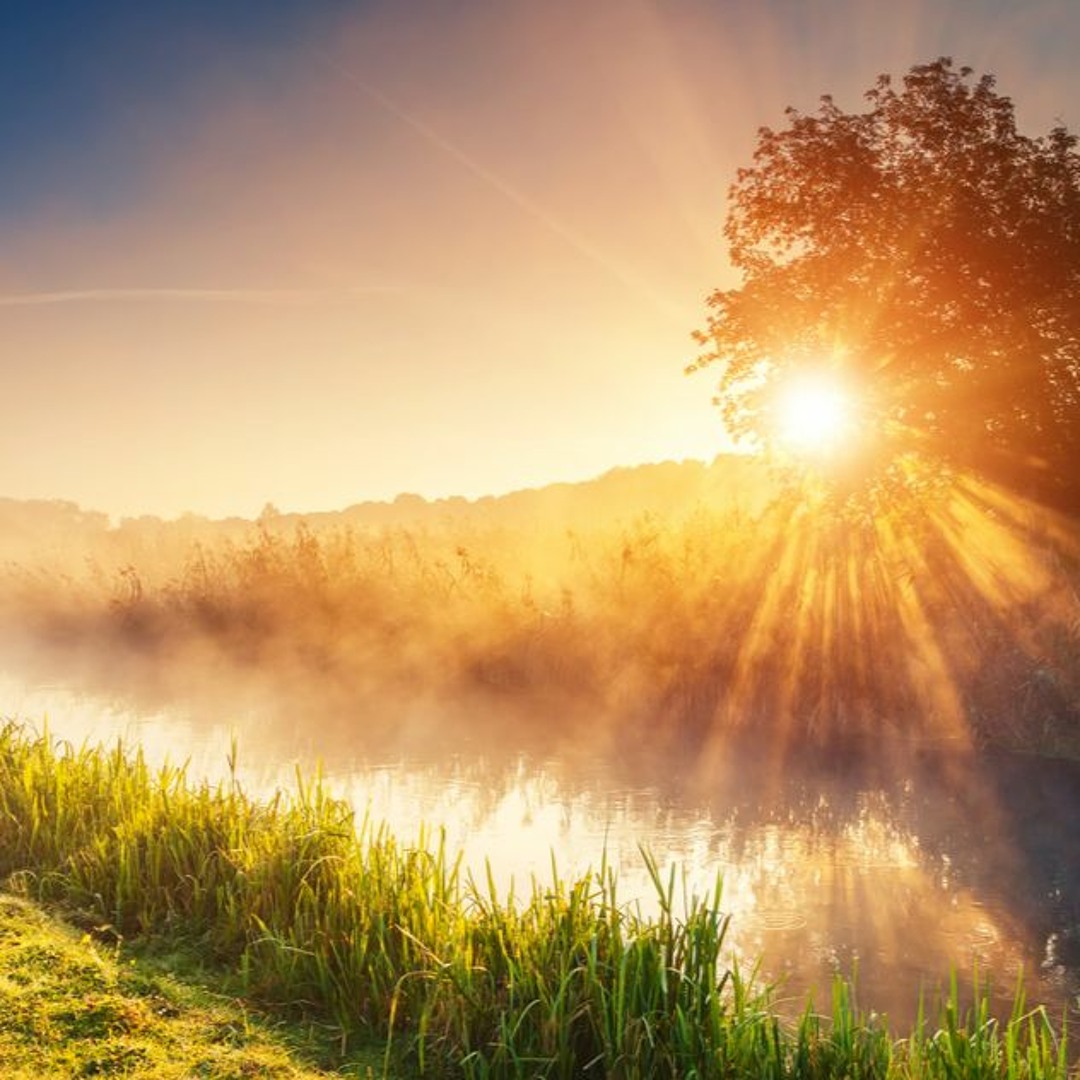 Cover von Mirical Morning