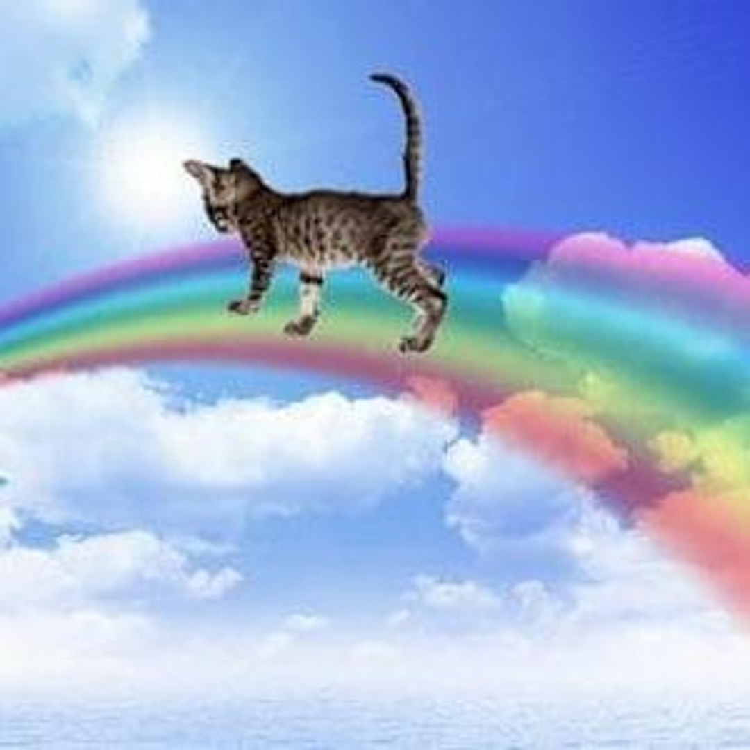 Cover von Somewhere Over The Rainbow By Rich Vom Dorf