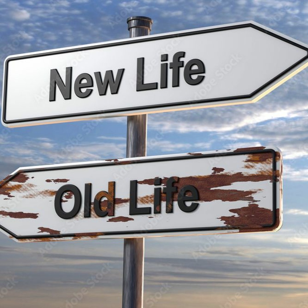 Cover von New Life