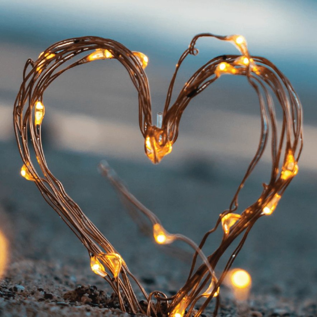 Cover von Lessons In Love