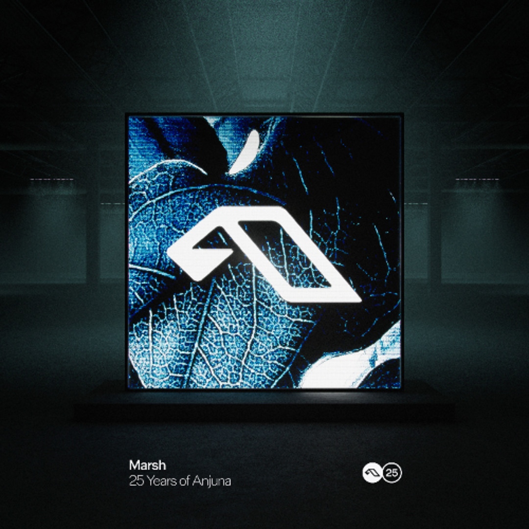 Cover von 25 Years Of Anjuna Mixed By Marsh