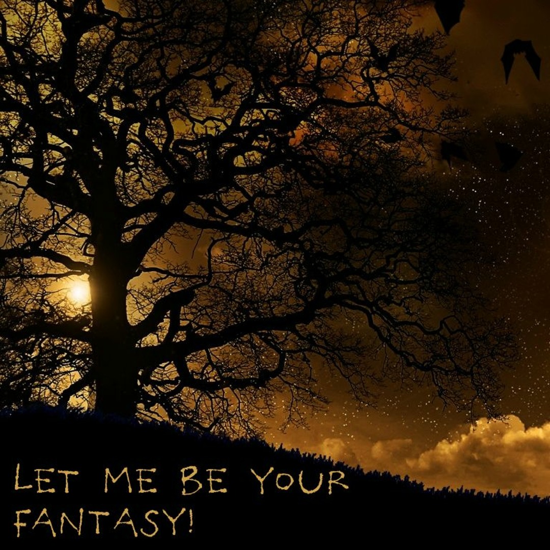 Cover von Let Me Be Your Fantasy