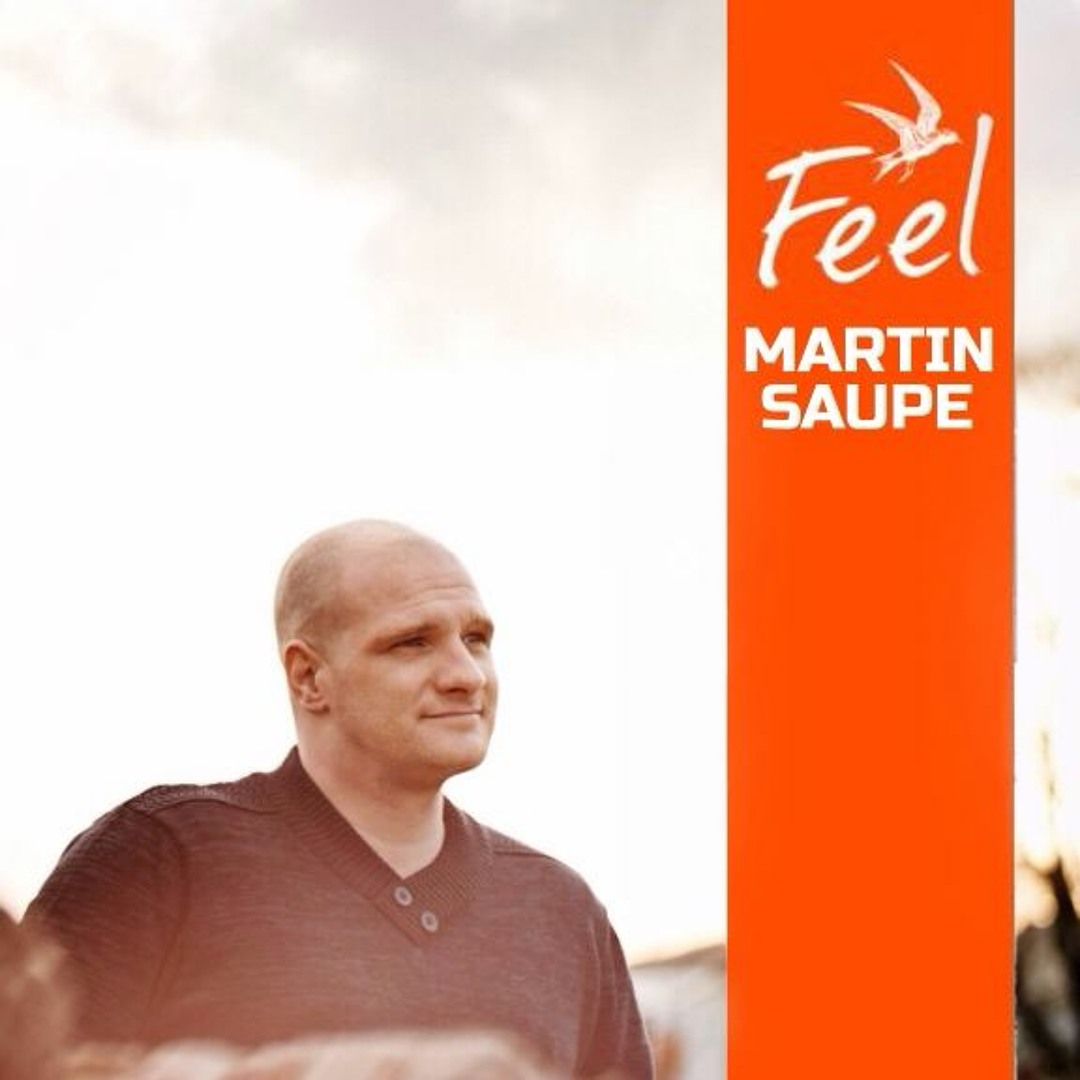 Cover von Martin Saupe - Feel Festival 2017 (Scheune)