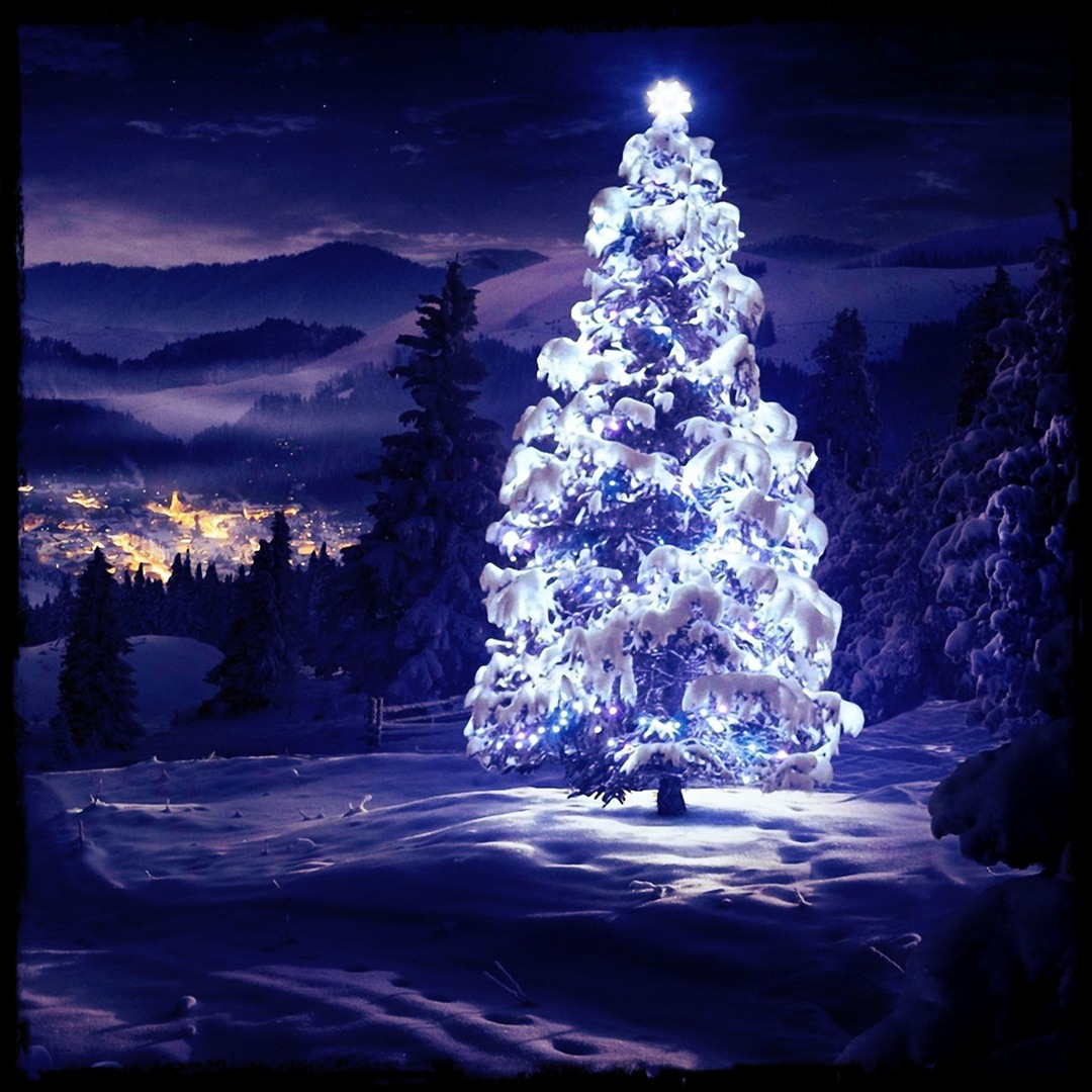 Cover von Xmas Edition Garage Saarbruecken 2017