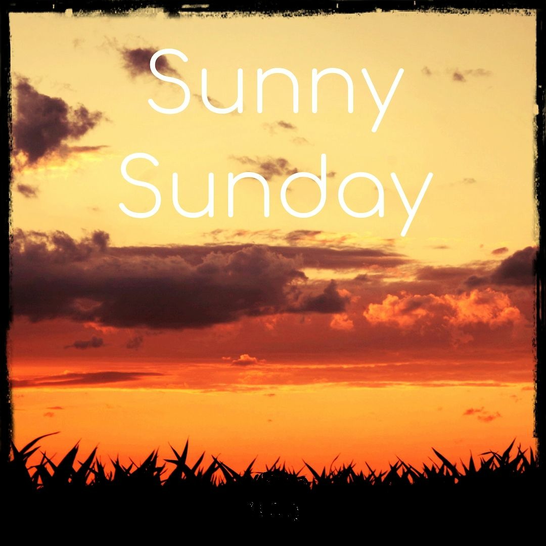 Cover von Sunny Sunday Mood 2